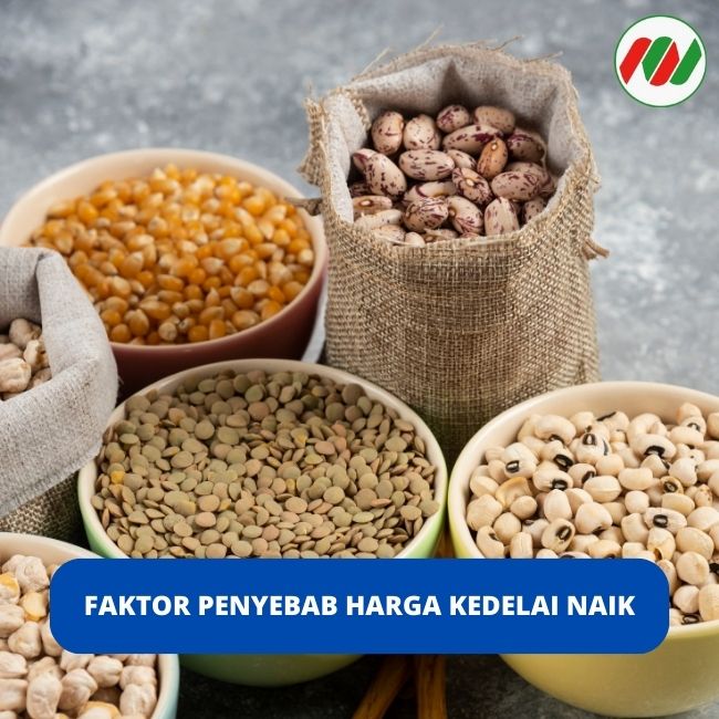 Faktor Penyebab Harga Kedelai Naik